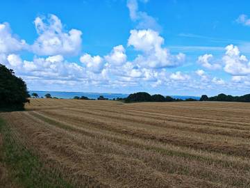 Ferieudlejning til 4 Personer i Vordingborg, Sydvestsjælland, Billede 3