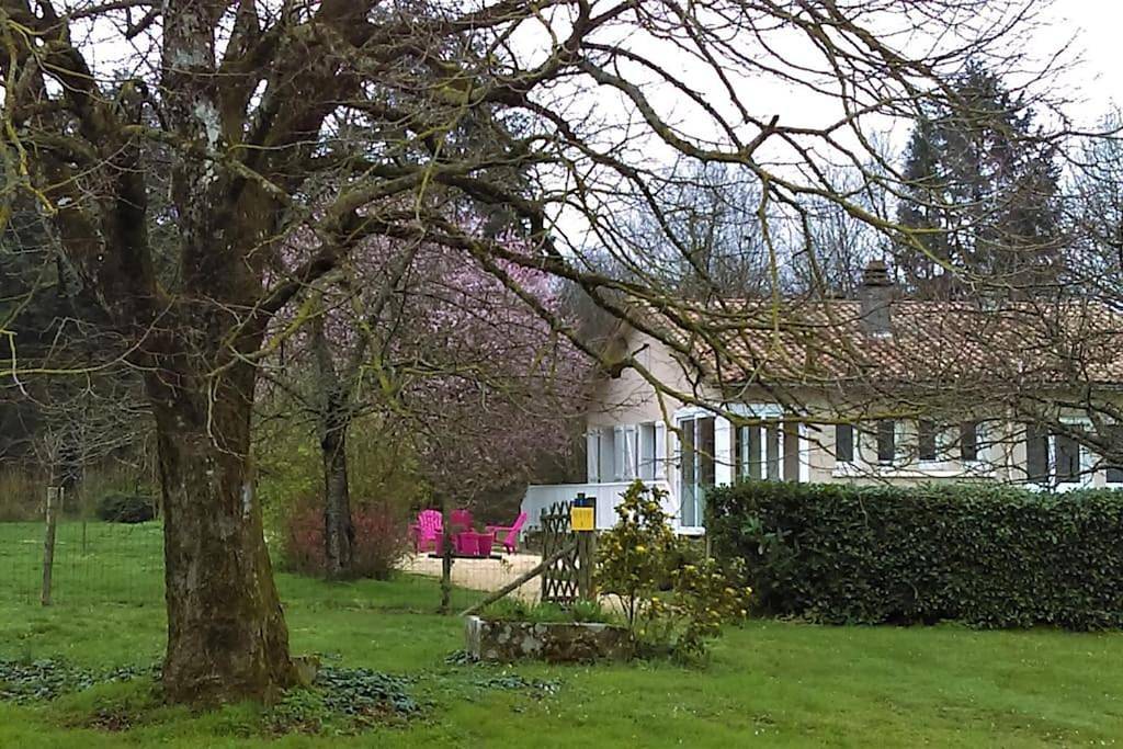Calme et sérénité au gîte des hortensias in Vaux, Vienne (France)