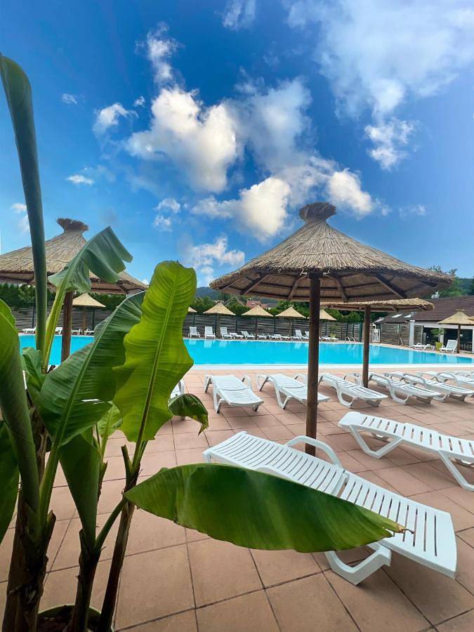 Chalet 4 étoiles - Piscine - ccbg00h in Celles-sur-Plaine, Saint-Dié-des-Vosges