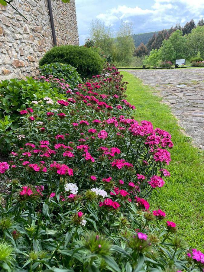 Casa rural para 2 personas, con jardín y vistas en Reserva de la Biosfera de Urdaibai - 3