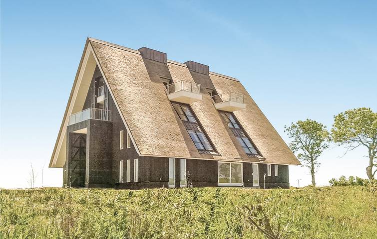 Vakantiehuis voor 22 personen, met Whirlpool en Terras in Friesland
