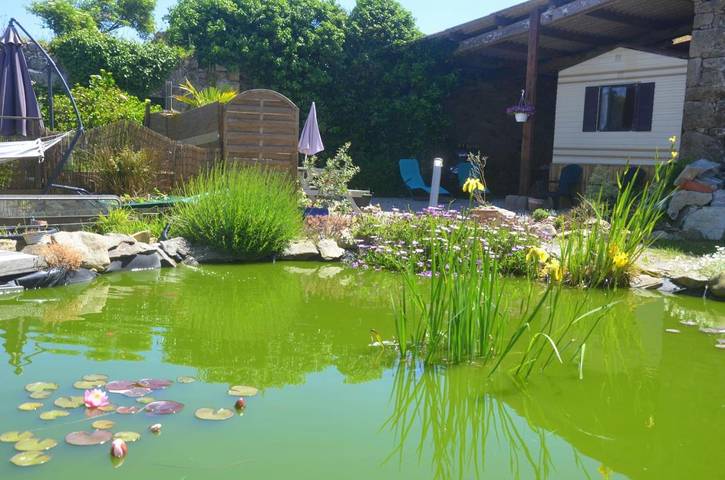 Camping pour 4 personnes, avec terrasse et jardin, animaux acceptés
