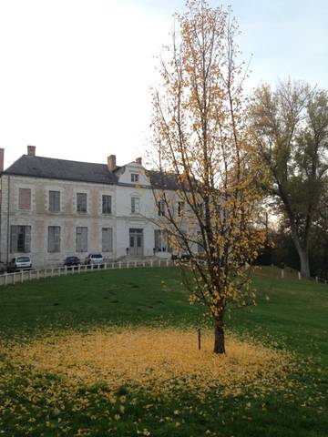 Gîte pour 3 personnes, avec jardin à La Ferté-Saint-Cyr