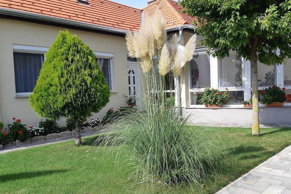 Ganze Wohnung, Ferienwohnung Bük für 1 - 2 Personen mit 1 Schlafzimmer - Ferienwohnung in Bük, Komitat Eisenburg