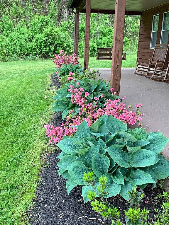 Antler Ridge Cabin -Next to Shenandoah National Park in Luray, Page County