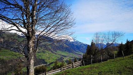 Holiday Apartment for 6 People in Frutigen, Western Alps, Photo 4