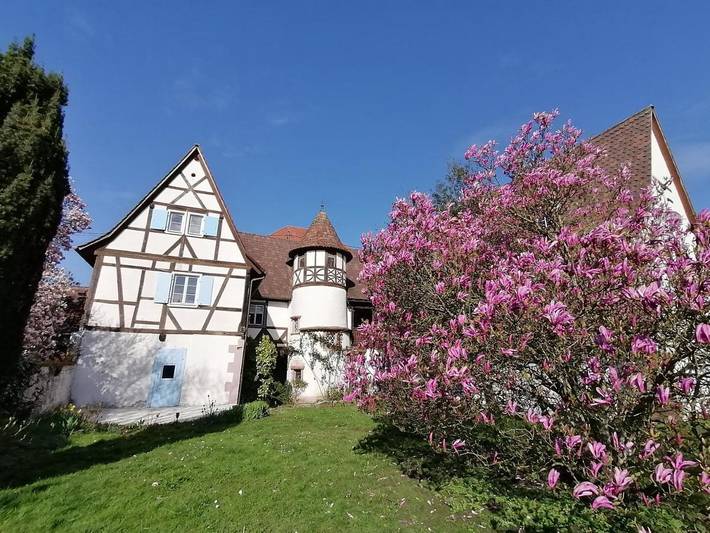 Ferienwohnung für 4 Personen, mit Terrasse und Garten sowie Ausblick in Wissembourg - 2