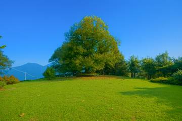 Villa for 6 Guests in Cerano Intelvi, Lake Como, Picture 2