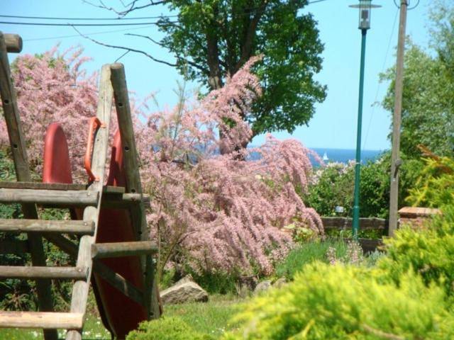 Ferienhaus mit Meerblick für 4 Personen, mit Terrasse und Garten in Bastorf - 3