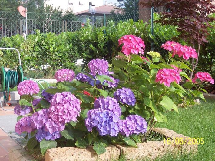 Chambre d’hôte pour 4 personnes, avec jardin, adapté aux familles à Parme - 4