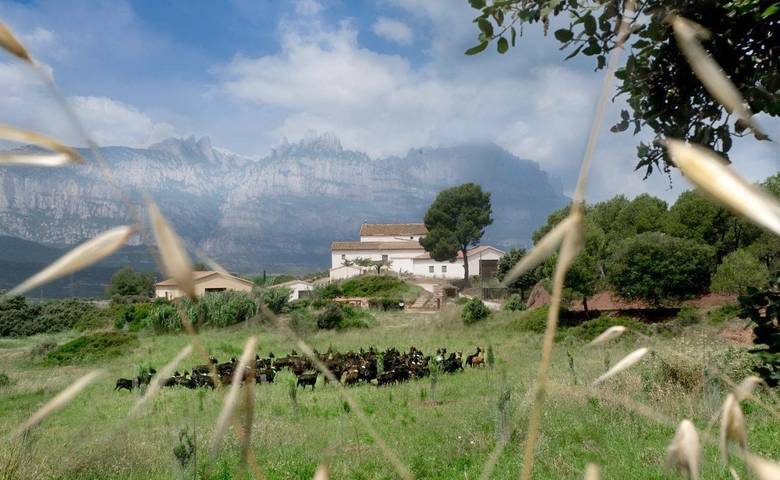 Hotel para 2 personas, con terraza y jardín, Se admiten mascotas en Valles Occidental - 2