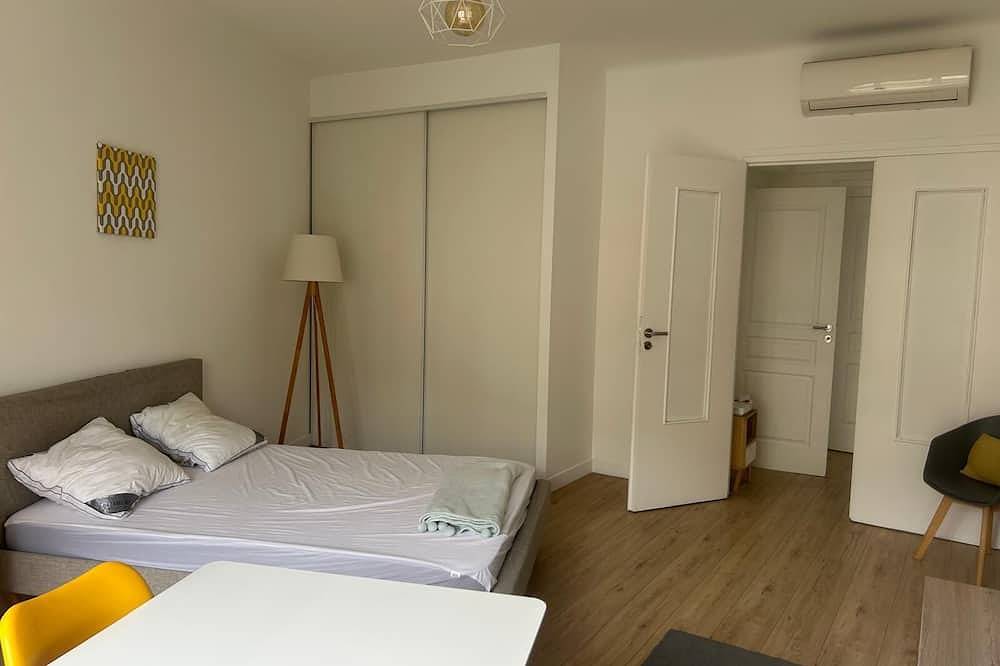Entire apartment, Nice Plage in Nice (France), Mediterranean Coast (France)