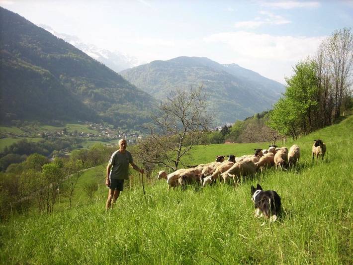 Location de vacances pour 2 personnes, avec terrasse et jardin ainsi que vue et vue sur le lac à Allevard - 3