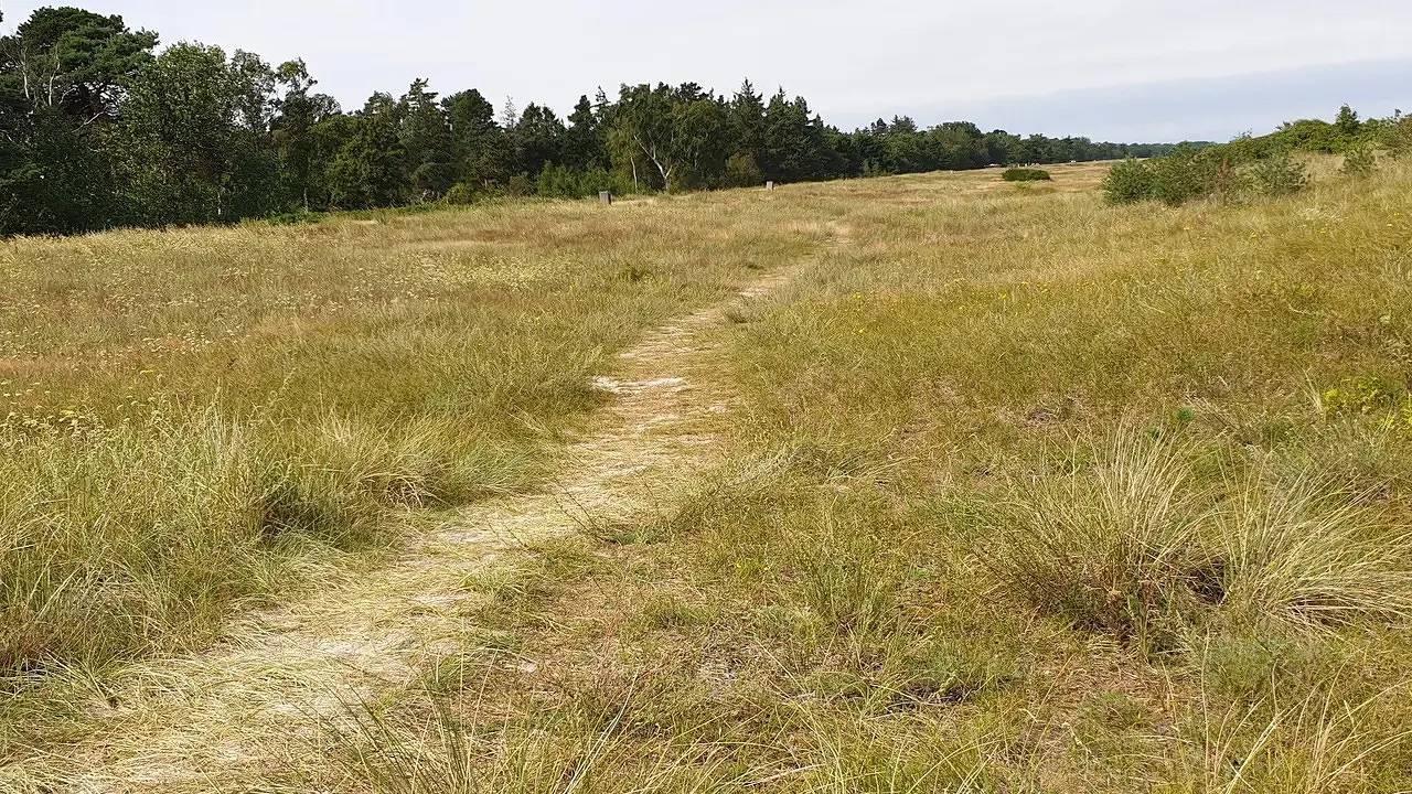 Ferienhaus für 18 Personen (242 m²) in Væggerløse in Væggerløse, Schwedische Ostsee