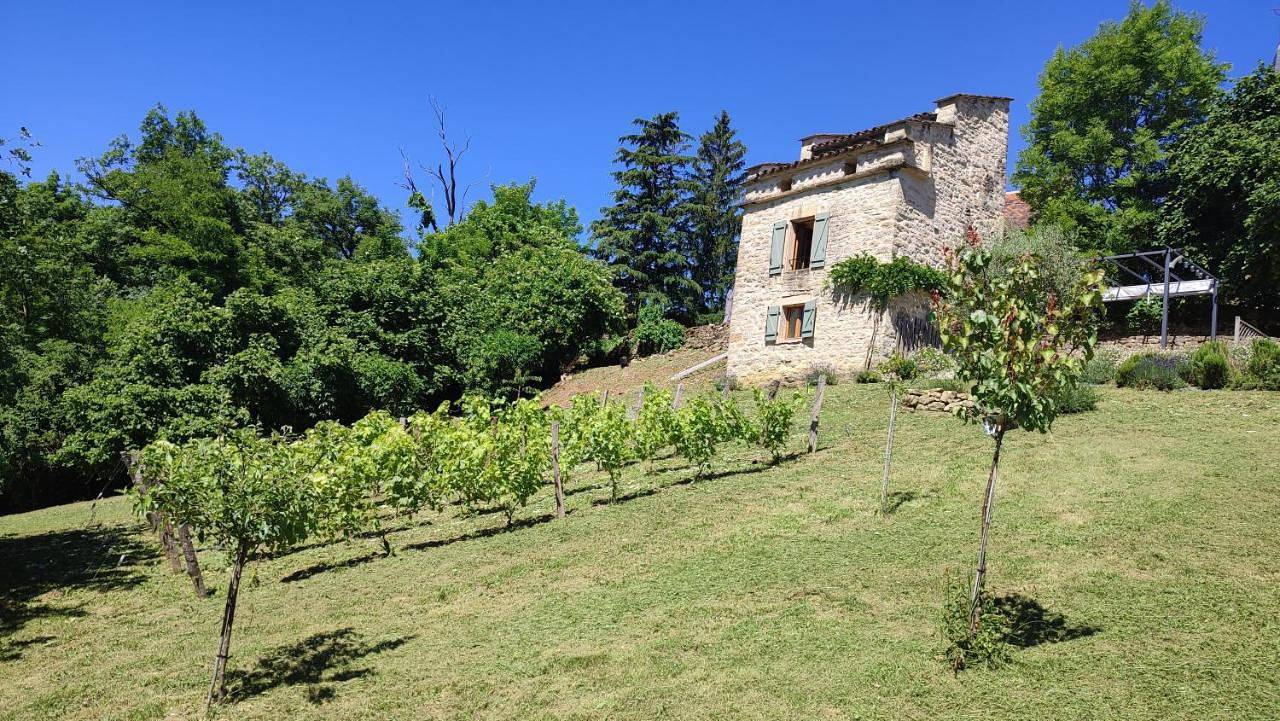 One-Bedroom House in Caylus, Tarn-et-Garonne