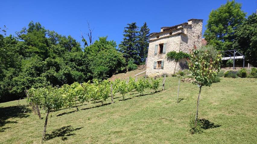 Location de vacances pour 2 personnes, avec vue et jardin à Caylus - 3