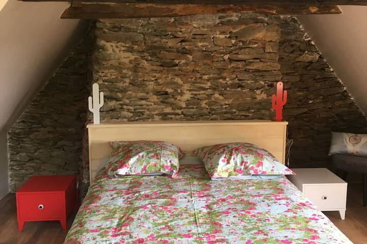 Gîte pour 4 personnes, avec jardin, animaux acceptés à Cassaniouze - 3