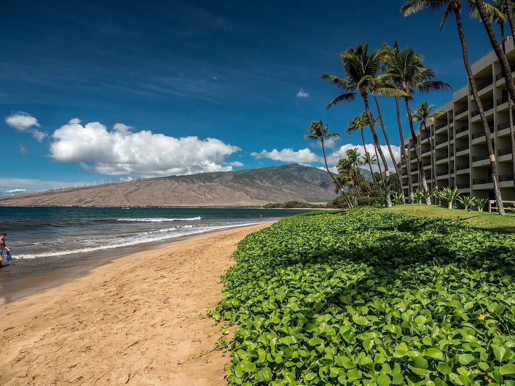 Loft for 2 Guests in Kihei, Maui