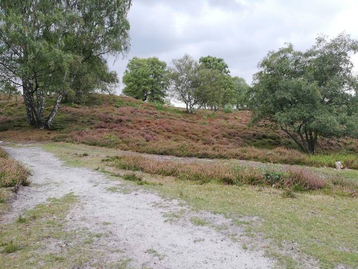 Ferienhaus für 5 Personen, mit Terrasse und Pool sowie Garten, kinderfreundlich in Silkeborg - 3