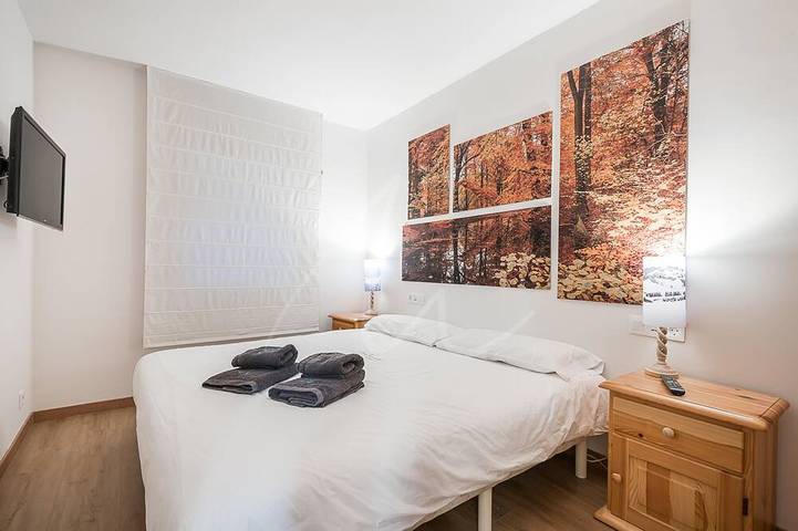 Appartement entier, Bonaigua 007 in Baqueira, Naut Aran