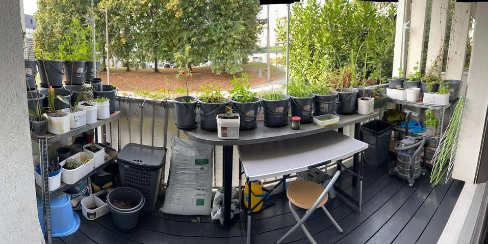 Gîte pour 2 personnes, avec terrasse à Châtenay-Malabry - 2