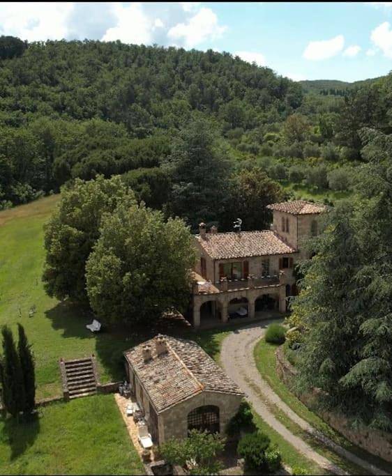 Chalet für 12 Personen, mit Ausblick und Garten, mit Haustier - 1