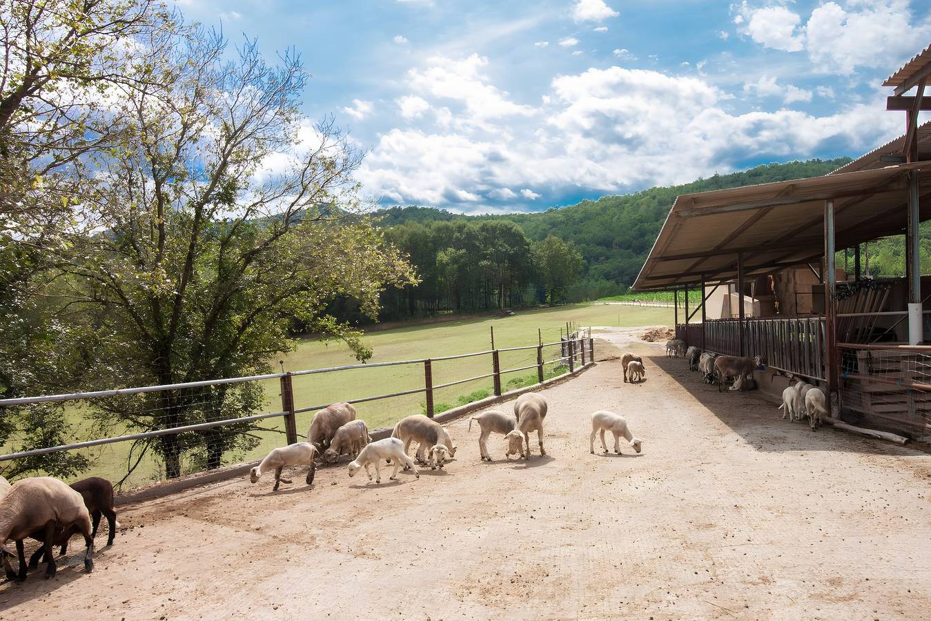 Casita de campo 'La Cabanya Planella' con vistas a la montaña, terraza privada y Wi-Fi in Vall de Vianya, Garrotxa