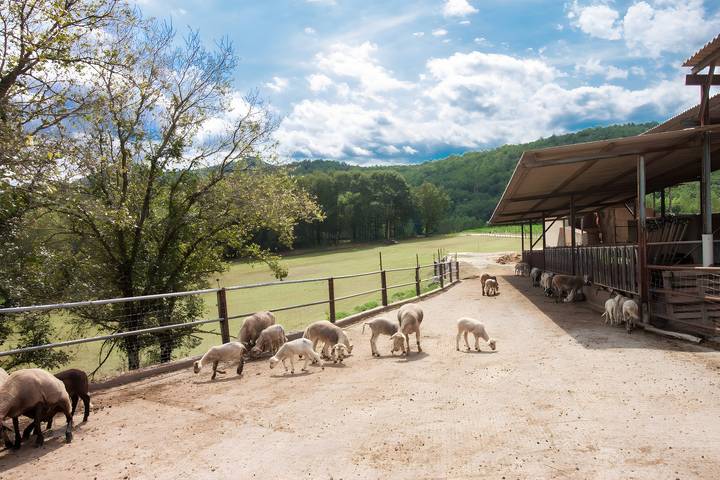 Casa rural para 6 personas, con balcón y jardín en Garrotxa - 2