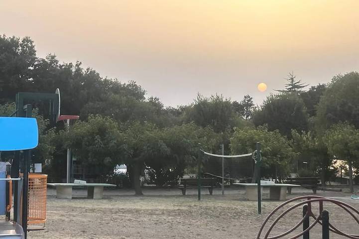 Mobil home pour 4 personnes, avec terrasse et piscine, animaux acceptés à Junas - 4