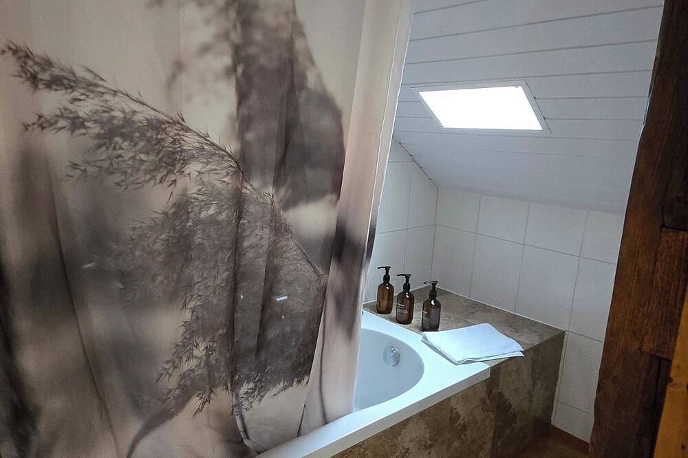 Ganze Wohnung, Cozy Studio for 3 with Roof terrace! in Zürich, Bezirk Zürich