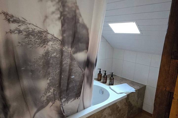 Ferienwohnung für 3 Personen, mit Terrasse in Zürich - 4
