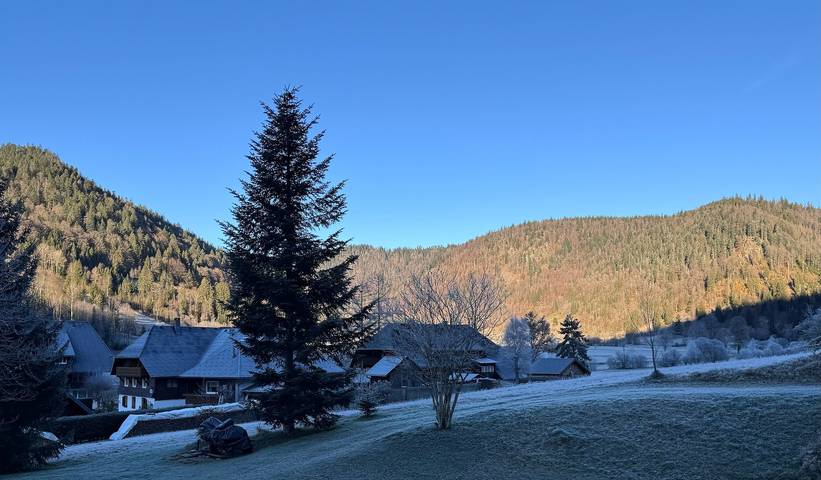 Ferienwohnung für 9 Personen, mit Balkon und Garten, kinderfreundlich in Suedlicher Schwarzwald - 4