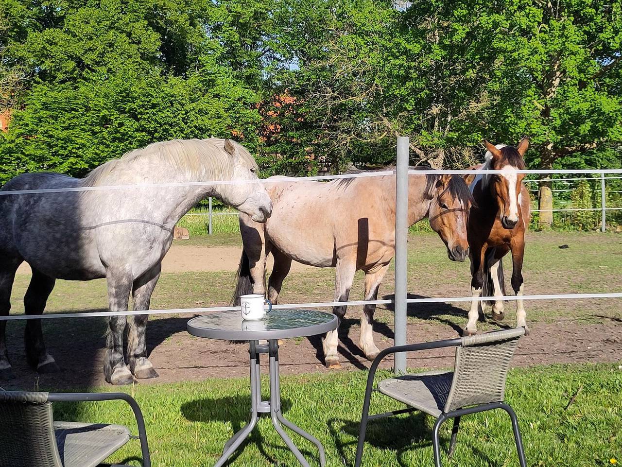 Ganze Ferienwohnung, Ferienwohnung zur Pferdekoppel - Ferienwohnung in Rubkow, Vorpommern
