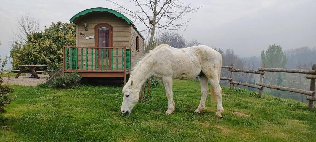 Maison de campagne pour 3 personnes, avec terrasse et jardin ainsi que piscine et vue à L'Honor-de-Cos - 3