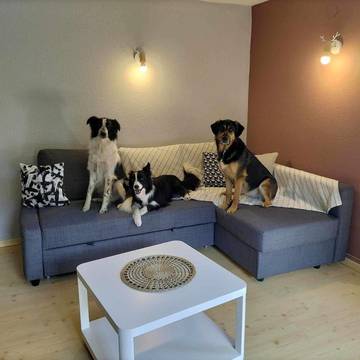 Gîte pour 4 personnes, avec jardin, animaux acceptés à Baerenthal