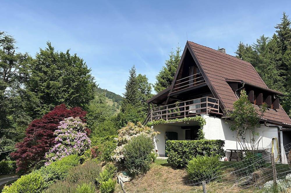 Chalet on the heights of Lake Maggiore with private beach in Trarego Viggiona, Lago Maggiore (Piemont)