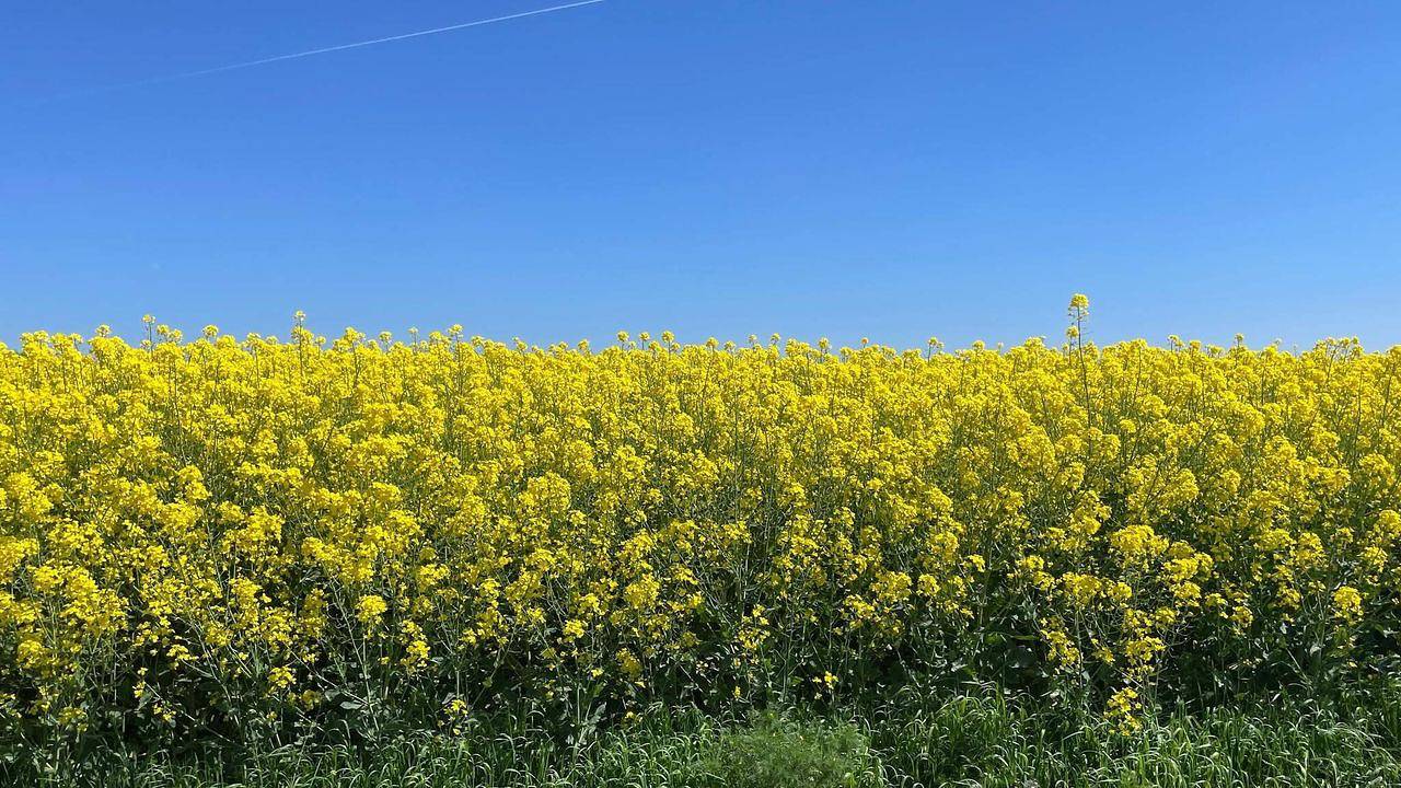 Ferienhaus für 6 Personen (70 m²) in Oxie in Malmö, Schwedische Ostsee