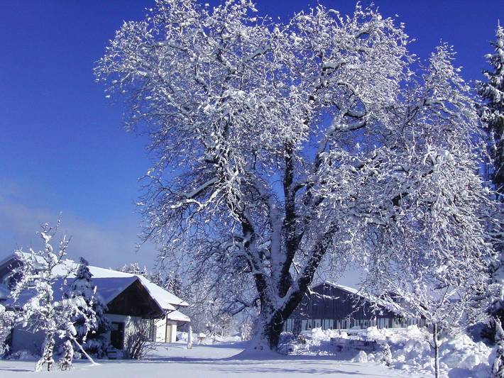 Bauernhof für 2 Personen, mit Garten in Oberbayern - 4