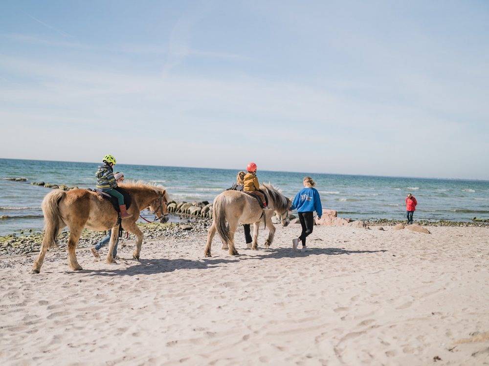 Büdlfarm - Nische in Ostfehmarn, Fehmarn