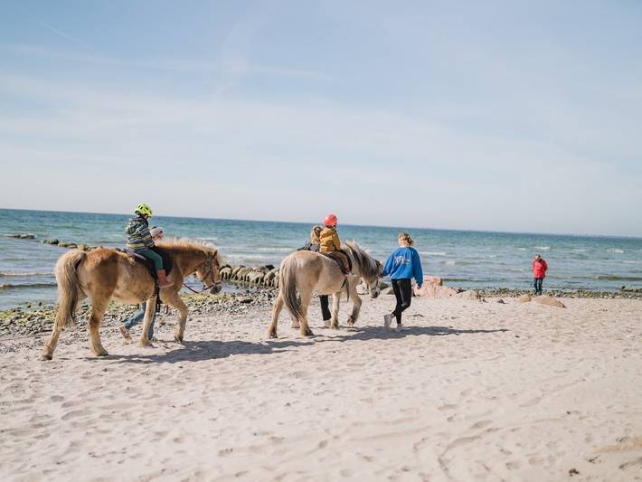 Bauernhof für 8 Personen, mit Sauna und Garten, kinderfreundlich auf Fehmarn - 2