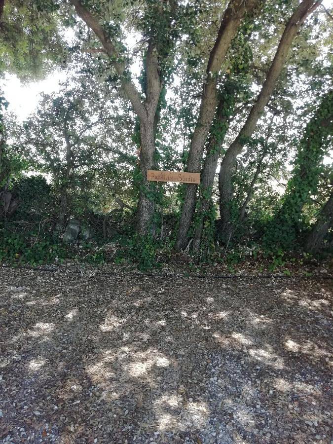 Gîte pour 6 personnes, avec jardin et piscine à Suze-la-Rousse - 2