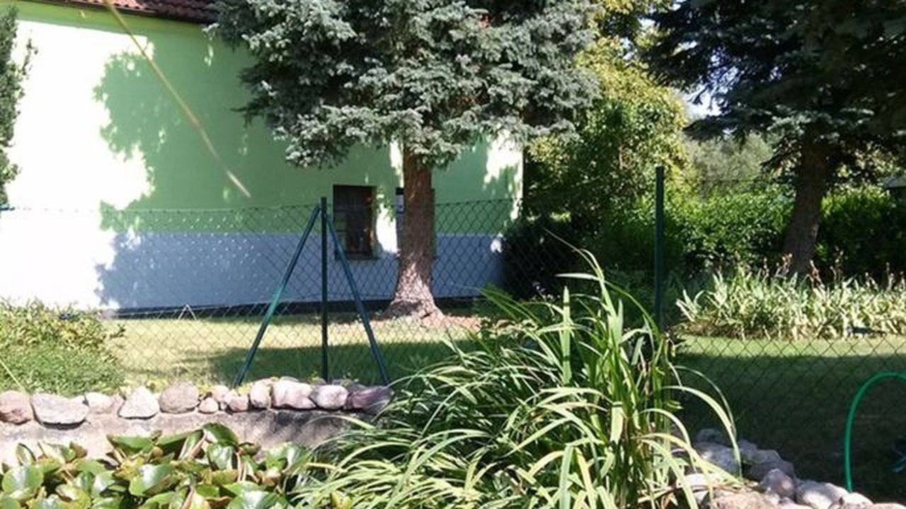 Ferienhaus für 2 Personen (37 m²) in Wesenberg in Wesenberg, Mecklenburg-Strelitz