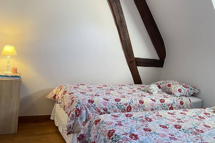 Gîte pour 15 personnes, avec jardin et jacuzzi à Saint-Amand-en-Puisaye - 4