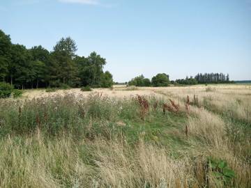 Ferieudlejning til 8 Personer i Egense, Himmerland, Billede 4