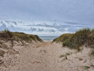 Ferienhaus für 8 Personen in Vejlby Klit, Dänemark an der Nordsee, Bild 4