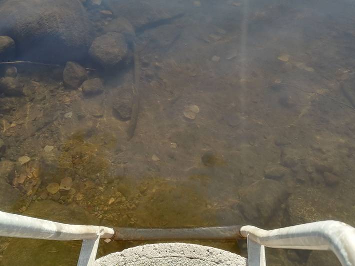 Linnusmaa in Konaanjärvi, Kanta-Häme