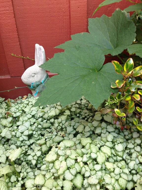 Weinlese-tropisches Häuschen nahe Stränden in Capitola, Santa Cruz County