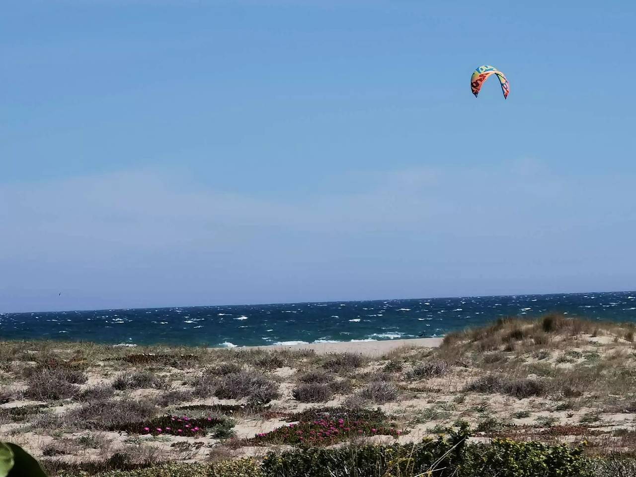 Villa deux pièces mezzanine avec vue sur mer à Port Leucate. Réf: 1Capt_P3 in Port Leucate, Leucate