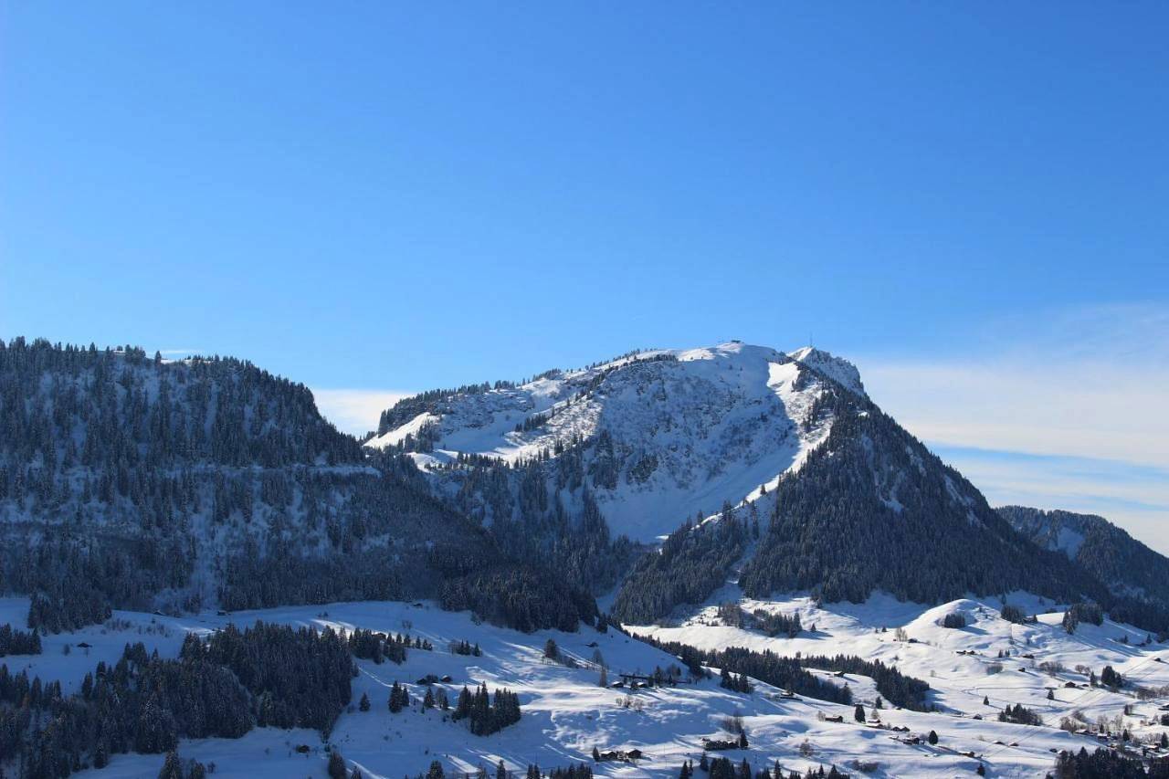 Ganze Wohnung, Apartment with Mountain View in Leysin, Alpes Vaudoises