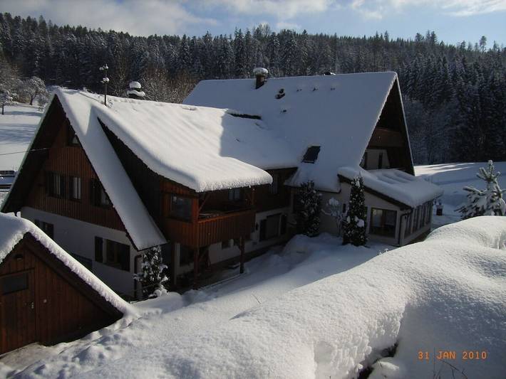 Ferienwohnung mit 1 Schlafzimmer in Seewald, Nordschwarzwald